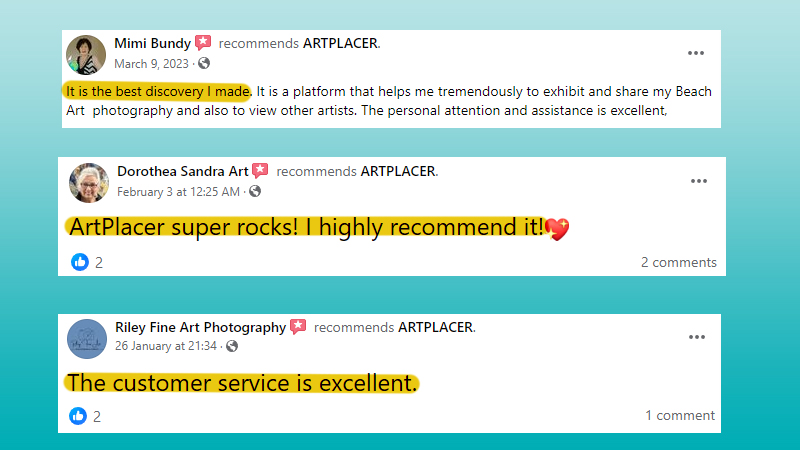 positive customer review of artplacer